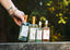 Descubre la rutina Blauverde perfecta para tu piel! En la imagen, una persona sostiene limpiador facial suave, tónico purificante, suero equilibrante y suero de plantas desértica para el cuidado en un fondo natural.