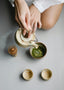 GUÍA PARA IDENTIFICAR UNA MATCHA REAL