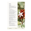 Un libro que muestra una flor en su portada junto con texto.