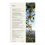 Indice del Ebook "Secretos de una piel radiante" 